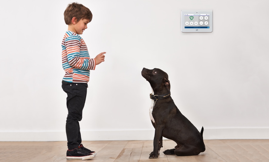 Destrehan security systems